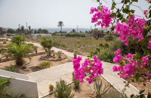 Firoa Studios - Photo 29