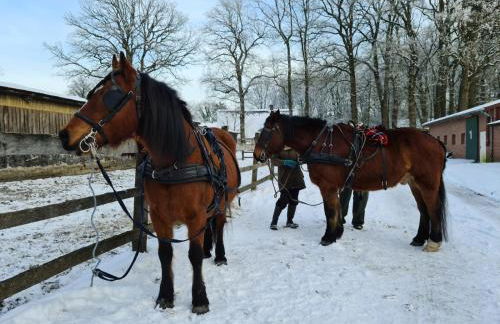 Bullerbü Hanrade zwischen Hamburg und Bremen - Foto 17