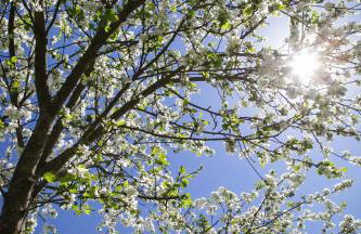 Apartamenty Osowa nad jeziorem Okmin - Foto 58