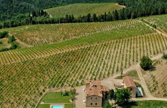 Ormanni nel Chianti Classico - Foto 126