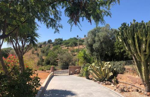 Casa Camé - Foto 11