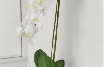 NEW Casa Padron & La Casita - Foto 57