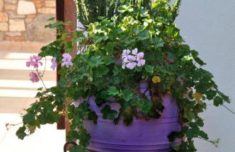 Anatoli Villa - Foto 35