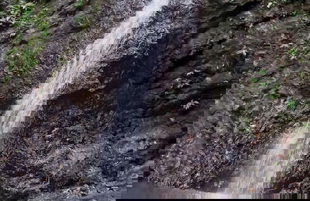 Cabaña el Ermitaño - Foto 17