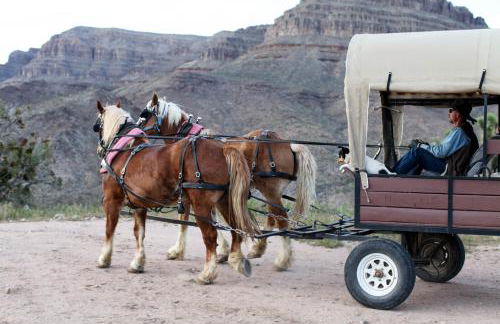 Grand Canyon Western Ranch - Foto 53
