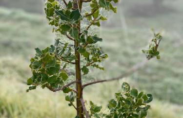 Quinta dos Cedros l Turismo Rural - Foto 23