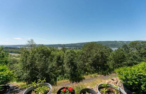 Panoramic River Views - Nature Framed in Every Window - Photo 26