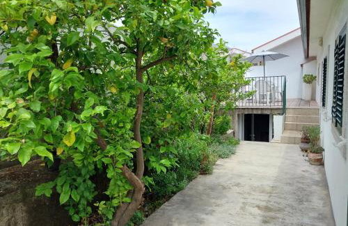 Casa Machado - Foto 23