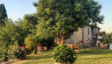 Sunset Valley - A Tuscan Experience - Foto 5, Garden