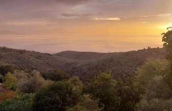 Panorama Studio Afetes - Photo 49