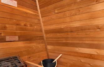 Wild Dog Cabin - Photo 21