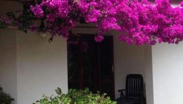 Villa near the Beach, Ostuni - Foto 1, Garden, Garden view
