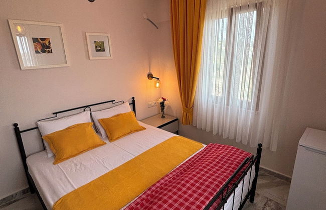 Zeus kır evi - Photo 16