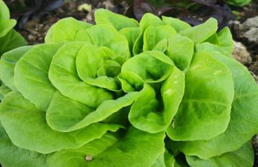 Agriturismo Cella di Montalto Pavese - Photo 36