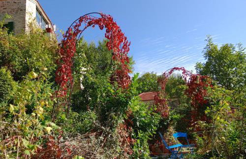 Studio Penelope - Photo 69