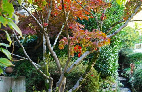 Ferienwohnung Wanderschön - Foto 40