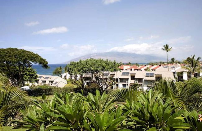 Maui Kamaole - Photo 40