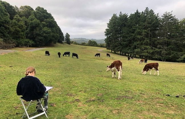 Lilyview Cottage - Robertson - Foto 28