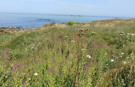 Natursteinhaus in Portsall - Foto 33