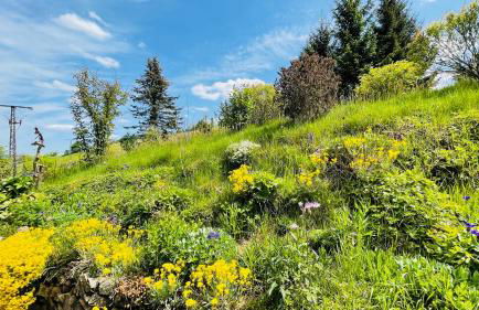 Flügels ReBi-Baude - Foto 39