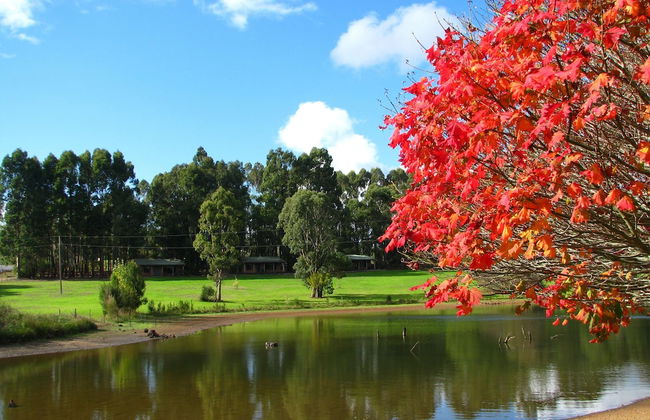 Pemberton Lake View Chalets - Foto 29