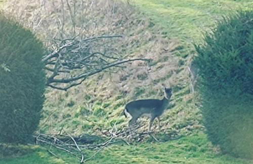 The West Wing at Eriviat Hall Hot Tub - Photo 51
