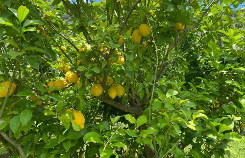 Gauro casa vacanze - Foto 69