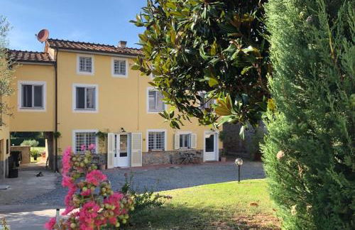 Intero alloggio campagna Lucca - Foto 49