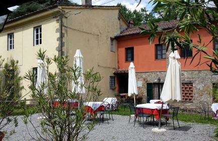 Fattoria Gambaro di Petrognano - Foto 40