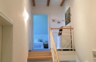 Großer Wattläufer - Foto 11