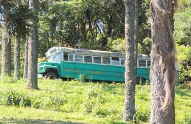 Cabana Mendoza - Busch Camping - Photo 17