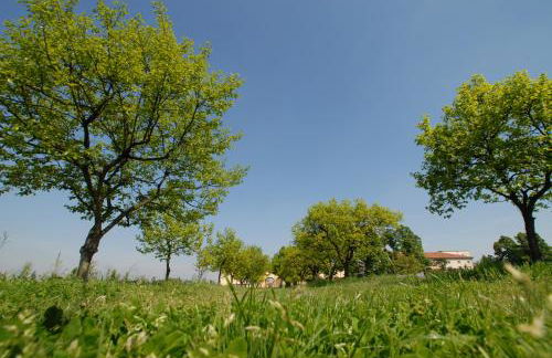 Agriturismo Corte Carezzabella - Foto 52