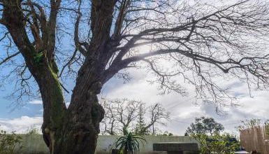 Castanheiro's Place - Photo 2