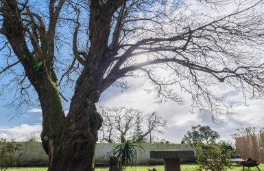 Castanheiro's Place - Photo 2