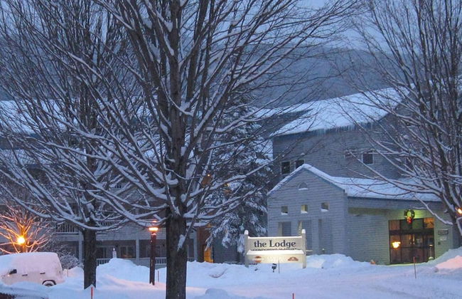 Loon Escape - Photo 26