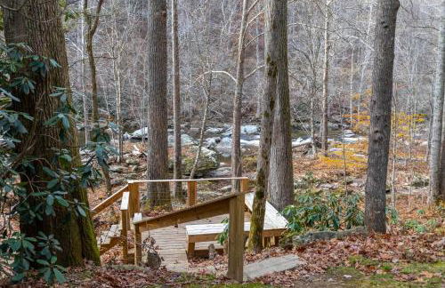 Draggin Fly - Foto 37