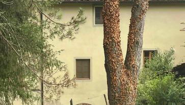 Gioconda casa vacanze - Foto 3, Garden, Garden view