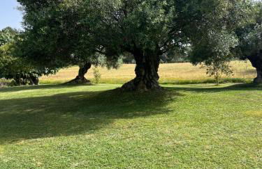 Can Figueretes - Foto 7