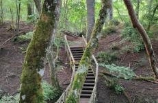 Le refuge de Chambord - Photo 29
