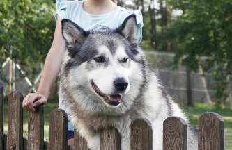 Holiday Apartment in the Countryside, Biskupice - Foto 39