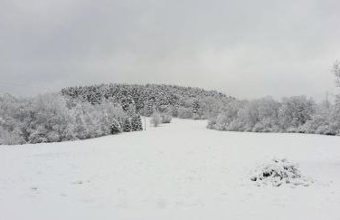 Domki w Bieszczadach - Foto 22