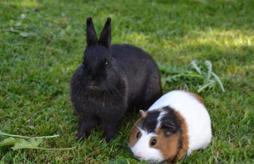 Andreashof - Foto 24