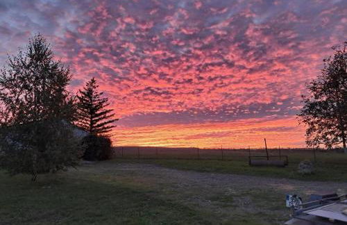 Maison de vendanges rénovée avec WIFI et animaux admis - FR-1-489-178 - Foto 20