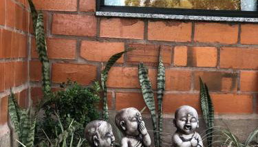 Casa di Pipa com ofurô - Foto 5