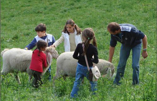 Apartment Himmelreichhof - Foto 76