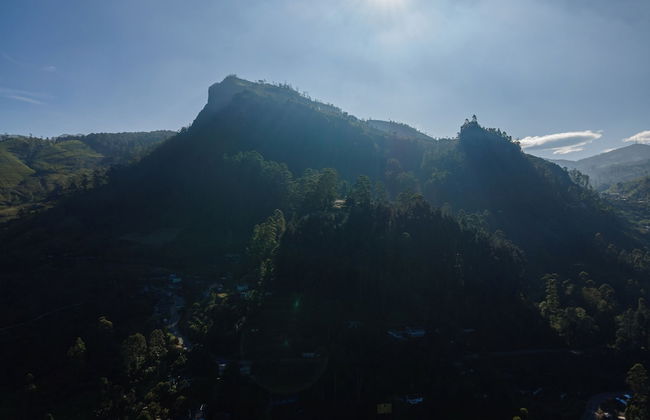 Highgrove Estate By Ishq - Foto 63