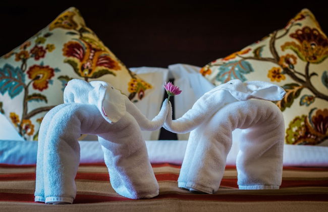 Rococo Residence - Photo 9