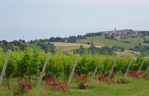 Ferienhaus "Casa Oleandro" in Fratte Rosa, Italien - Foto 13
