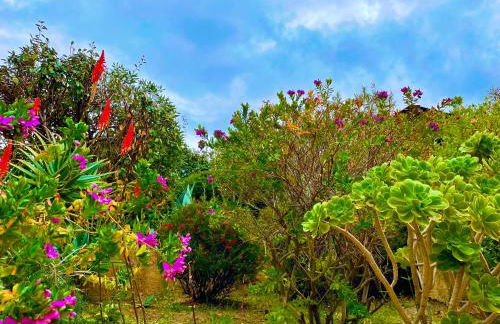 Villetta La Risacca - fronte mare - seafront - Foto 136