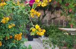 Piero's Apartment - Foto 16